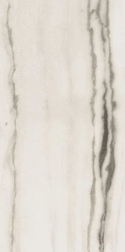 Prexious White Fantasy 24x48 Matte Porcelain Tile