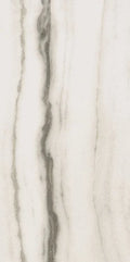 Prexious White Fantasy 24x48 Matte Porcelain Tile