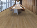 Prime Specimens Alba 6x48 2.5mm Sleek Woods 20mil Glue Down LVT Flooring