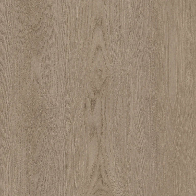 Prime Specimens Alba 6x48 2.5mm Sleek Woods 20mil Glue Down LVT Flooring