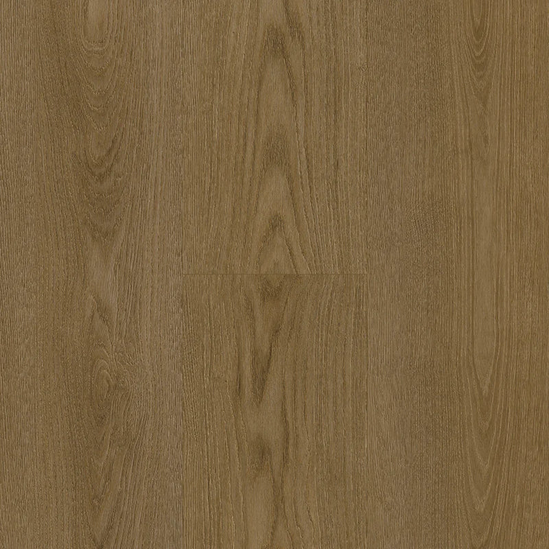 Prime Specimens Daybreak 6x48 2.5mm Sleek Woods 20mil Glue Down LVT Flooring