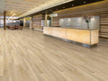 Prime Specimens Del Sol 6x48 2.5mm Sleek Woods 20mil Glue Down LVT Flooring