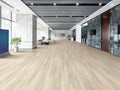 Prime Specimens Merriment 6x48 2.5mm Sleek Woods 20mil Glue Down LVT Flooring