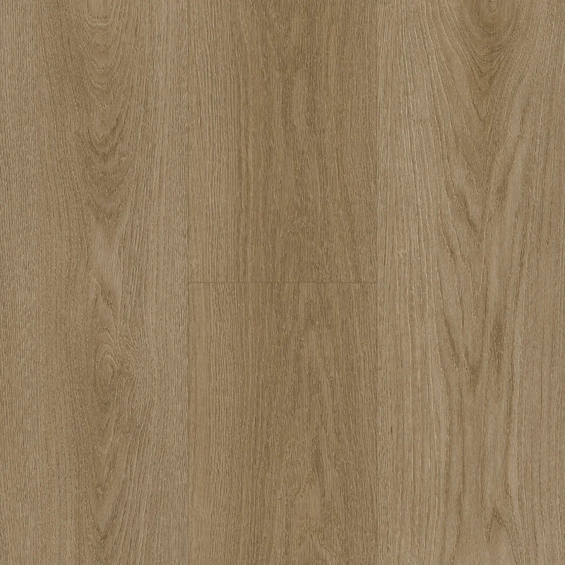 Prime Specimens Spectacle 6x48 2.5mm Sleek Woods 20mil Glue Down LVT Flooring