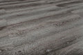 Provincial Jerome 7.13x72 8.5mm IXPE Waterproof Rigid Core Flooring