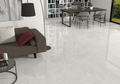 Puccini Blanco 24x48 Polished Marble Look Porcelain Tile
