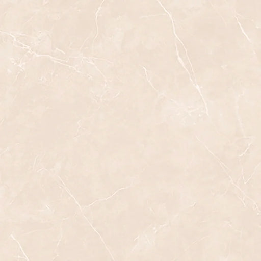 Puccini Marfil 24x48 Polished Marble Look Porcelain Tile