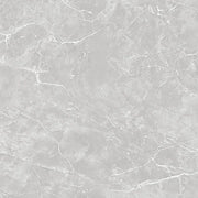 Puccini Perla 24x24 Polished Marble Look Porcelain Tile