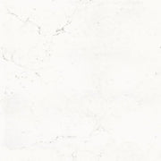 Pure Carrara Nat 48x48 Natural Marble Look Porcelain Tile