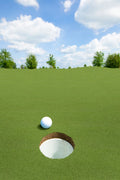 Putting Green Full Roll 15ft x 100ft 16mm 78oz Artificial Turf