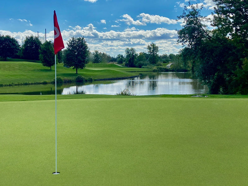 Putting Green Full Roll 15ft x 100ft 16mm 78oz Artificial Turf