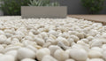 Close-up of White Stone Polished 5 - 8CM (2 - 3 1/8 Inch) Large White Ultra Pebbles, in White tones.