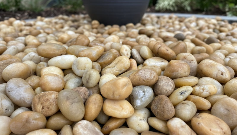 Close-up of Yellow Stone Polished 2 - 5CM (3/4 - 2 Inch) Medium Yellow Ultra Pebbles, in Yellow tones.