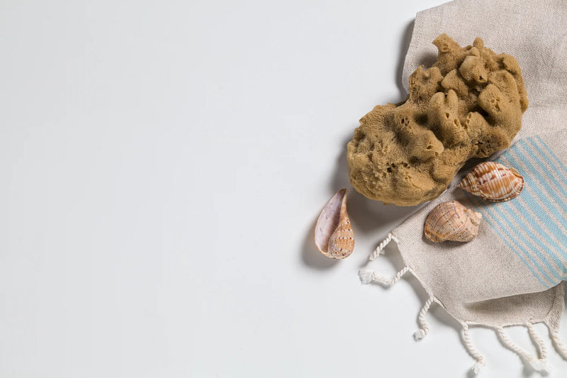 Quartz Augustus 2cm Slab