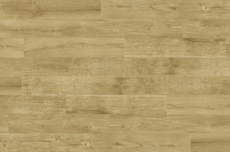 Quercus Miele 8.7x47.2 Plank Wood-Look Porcelain Plank