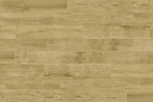 Quercus Miele 8.7x47.2 Plank Wood-Look Porcelain Plank