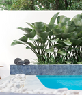Reef Nacre 6x6 Porcelain Waterline Tile