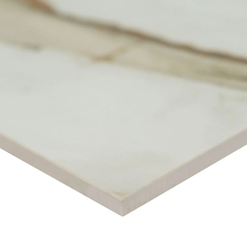 Regallo Calacatta Marbella 12x24 Matte Porcelain Marble Look Floor Tile