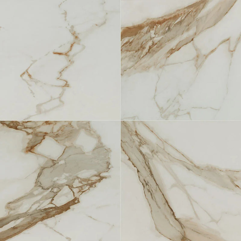 Regallo Calacatta Marbella 24x24 Matte Porcelain Marble Look Floor Tile