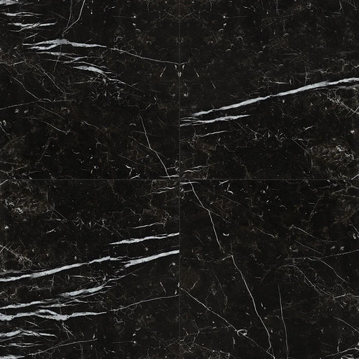 Regallo Marquina Noir 24x24 Polished Porcelain Marble Look Floor Tile