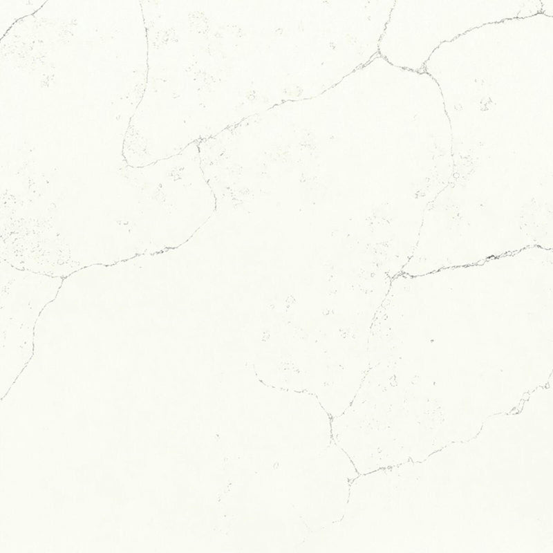 Revera Calacatta Dunes polished quartz with an ivory-white background and fine branching grey veins.