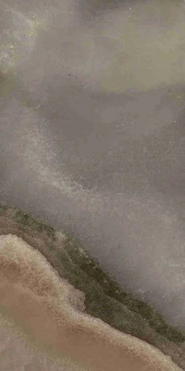 Reves Choco 12x24 Glossy Porcelain Tile