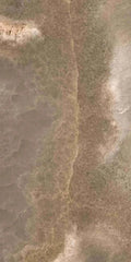 Reves Choco 12x24 Glossy Porcelain Tile