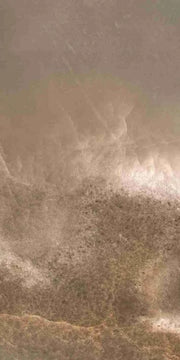 Reves Choco 12x24 Glossy Porcelain Tile