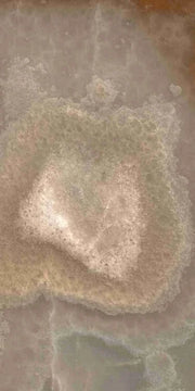 Reves Choco 12x24 Glossy Porcelain Tile