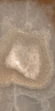 Reves Choco 12x24 Matte Porcelain Tile