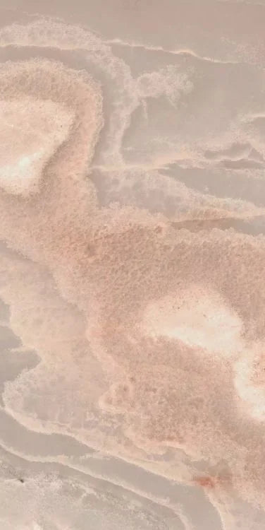 Reves Rose 12x24 Glossy Porcelain Tile