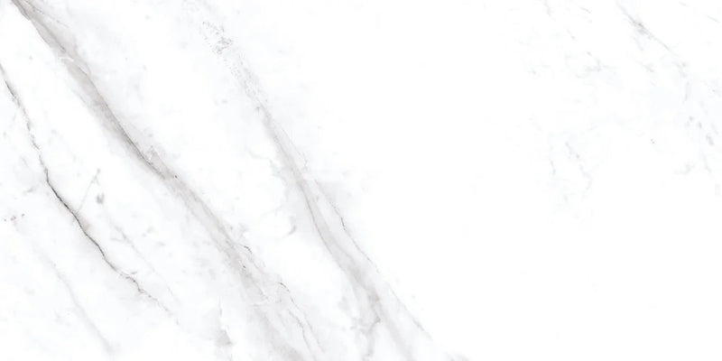 Rezy 24x48 Polished Porcelain Tile