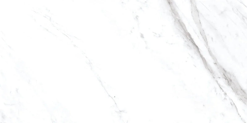 Rezy 24x48 Polished Porcelain Tile