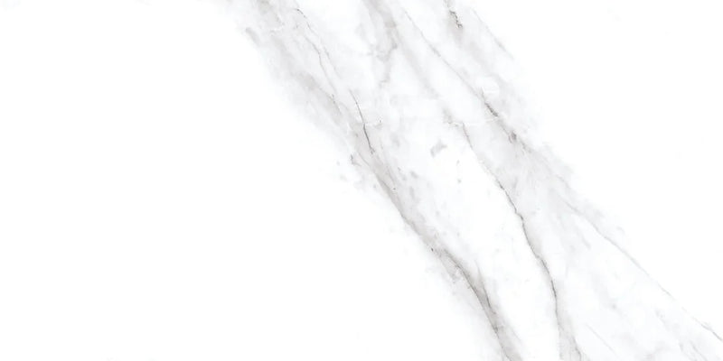 Rezy 24x48 Polished Porcelain Tile