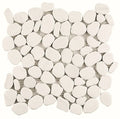 Rio Carrara 10.24x10.24 Marble Mosaic