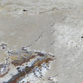 Riviera 12x24 Unfilled & Honed Travertine Single Bullnose Pool Coping