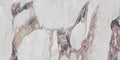 XL Slabs Breccia Vino MC 63x126 Matte Porcelain Tile