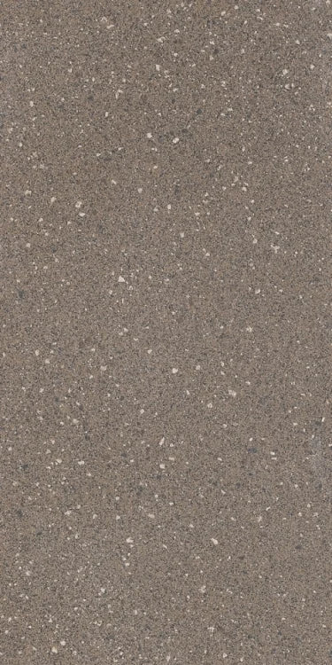 Rock 2010E 12x24 Porcelain Tile