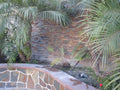 Rockmount Gold Rush 6x18 Corner Splitface Quartzite Ledger Stone