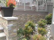 Rockmount Golden Honey 6x24 Panel Splitface Quartzite Ledger Stone