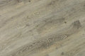 Romulus Akaroa Ash 9x60 Embossed Micro-Bevel 20mil WPC Vinyl Flooring