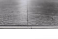 Romulus Celestial Shadow 9x60 Embossed Micro-Bevel 20mil WPC Vinyl Flooring