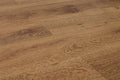Romulus Tapered Anzac 9x60 Embossed Micro-Bevel 20mil WPC Vinyl Flooring