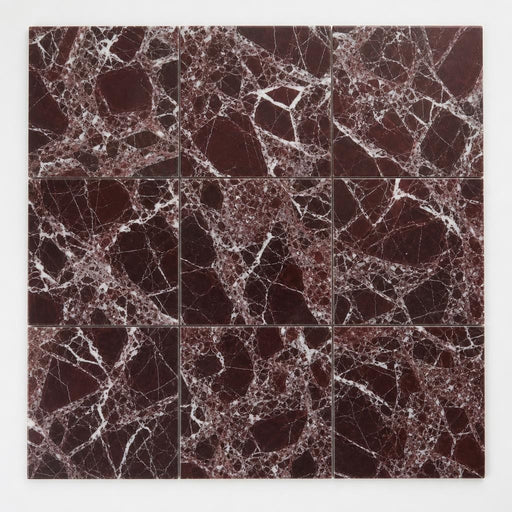 Rosso Levanto 12x12 Polished Marble Tile close-up