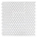 Roy White 2x2 Hexagon Polished Porcelain Mosaic