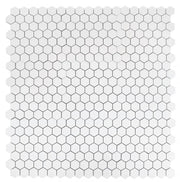 Roy White 2x2 Hexagon Polished Porcelain Mosaic