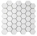 Roy White 2x2 Hexagon Polished Porcelain Mosaic