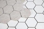 White Tile Roy White 2x2 Hexagon Matte Porcelain Mosaic
