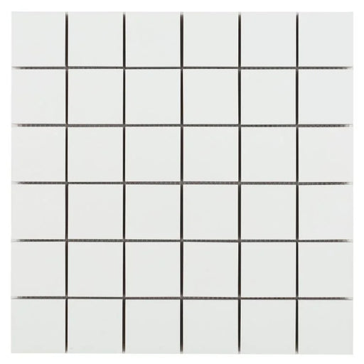 White Tile Roy White Matte Porcelain Mosaic