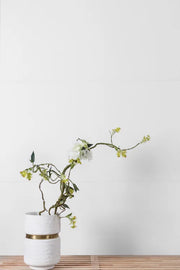 Roy White 24x24 Polished Porcelain Tile